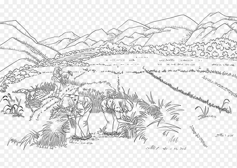手绘白描插图收割麦子场景