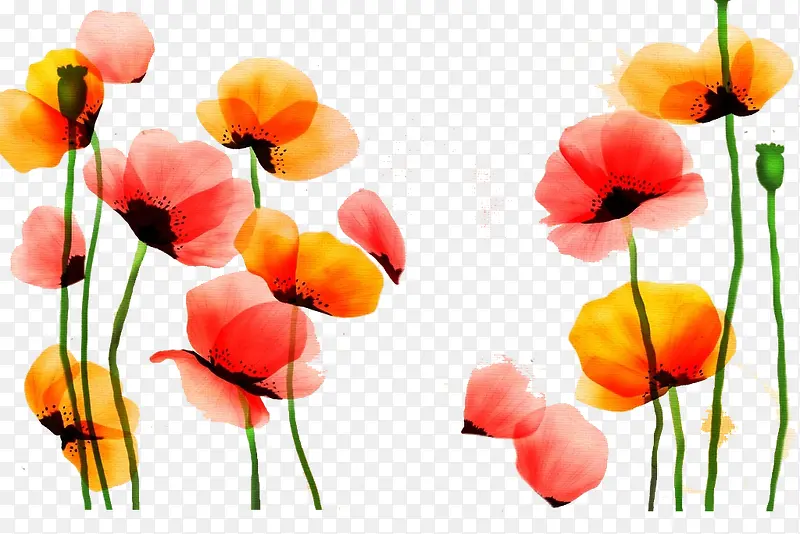 免抠图花