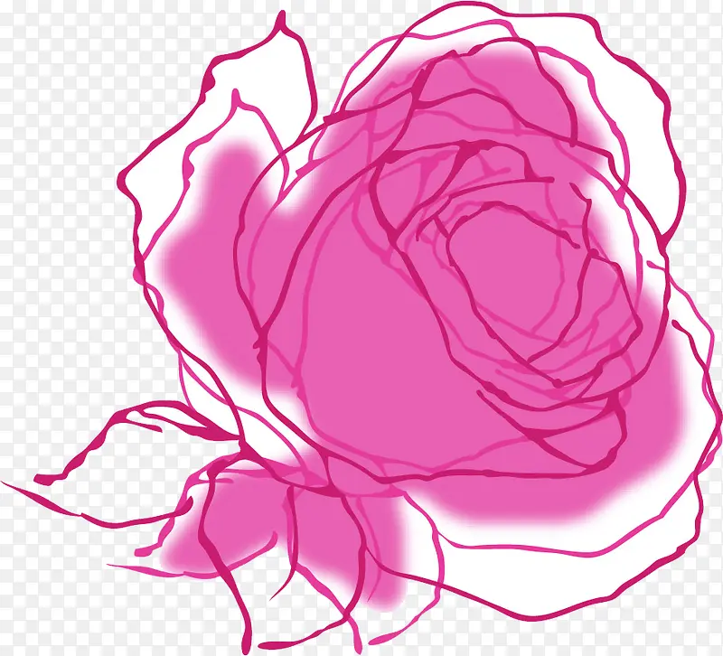 手绘粉色线条玫瑰