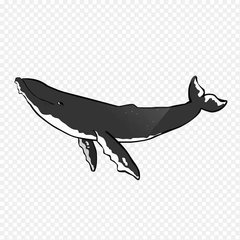 卡通一只灰色微笑的座头鲸插画免