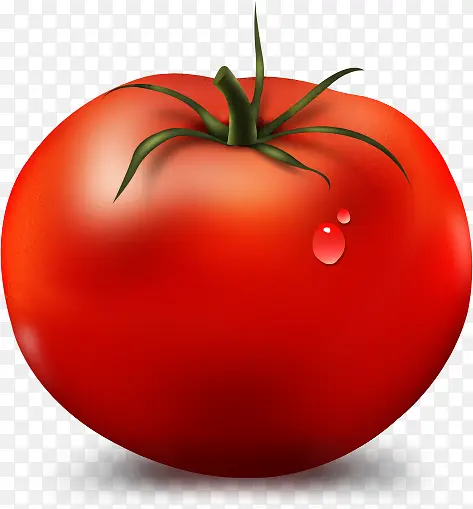 好吃的番茄