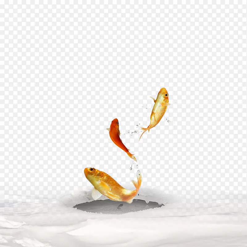 鱼