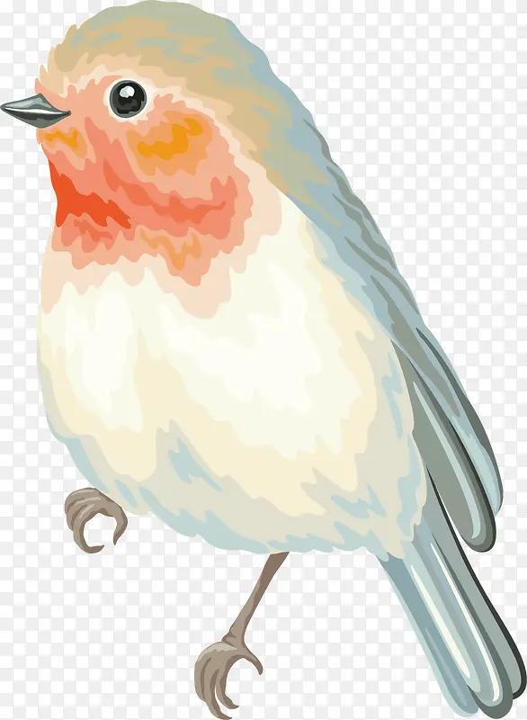 手绘小鸟PNG下载