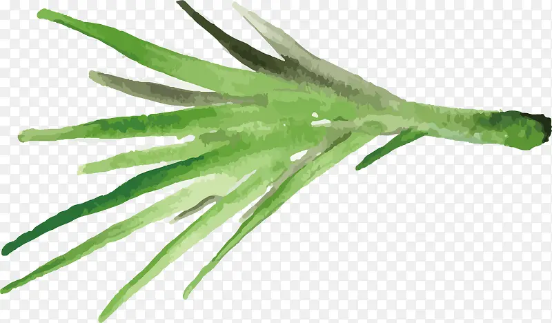 手绘草PNG下载