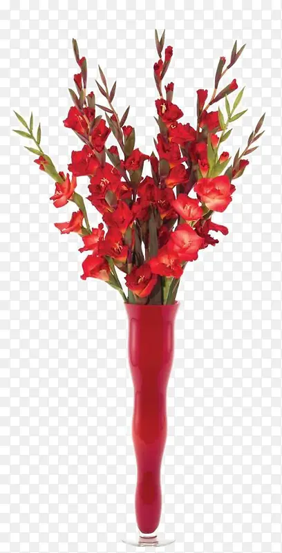 红色花束插花软装装饰