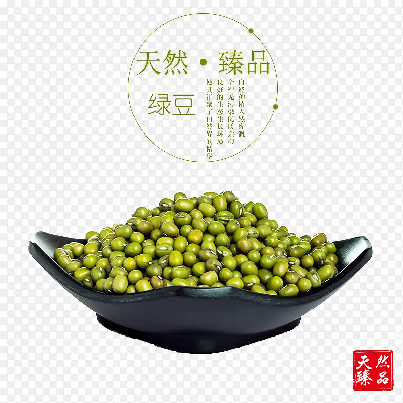 绿豆黑色盘子植物