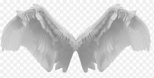 天使翅膀