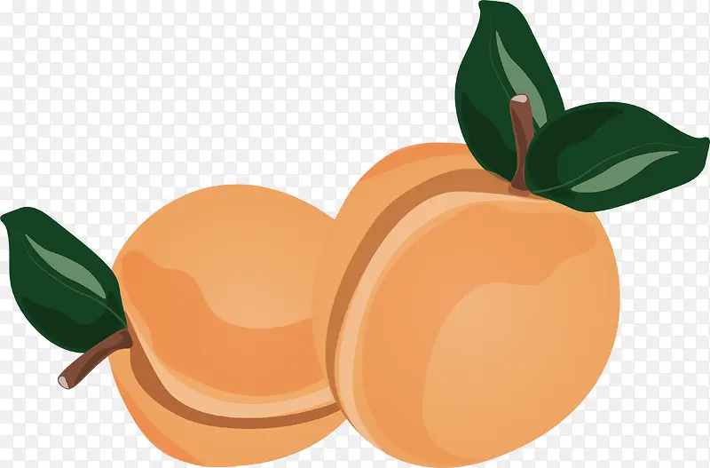 美味的甜杏