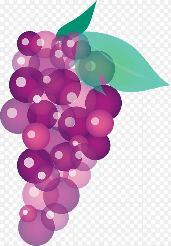 矢量手绘葡萄