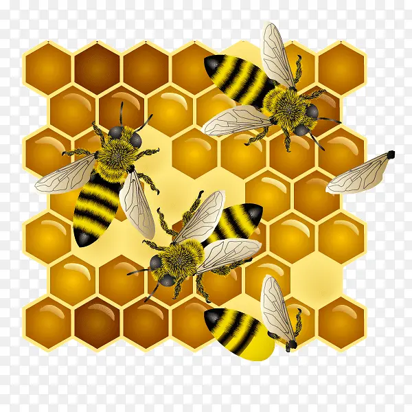 装饰图案 蜜蜂窝 蜜蜂