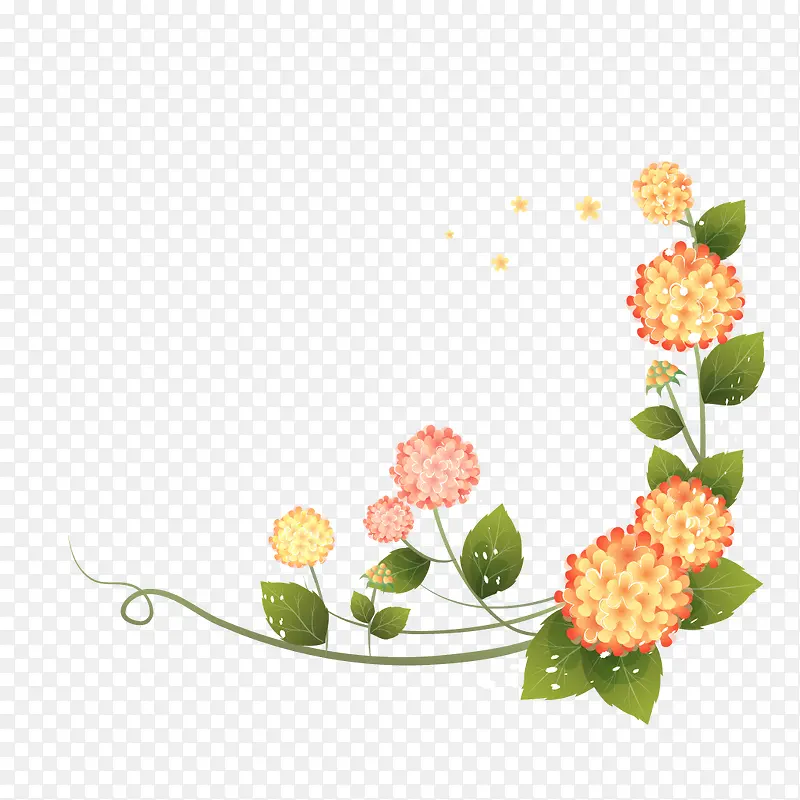 黄色绣球花