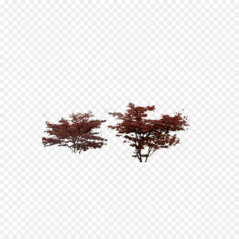 绿色植物PNG图片素材下载_图片编号9581589-PNG素材网