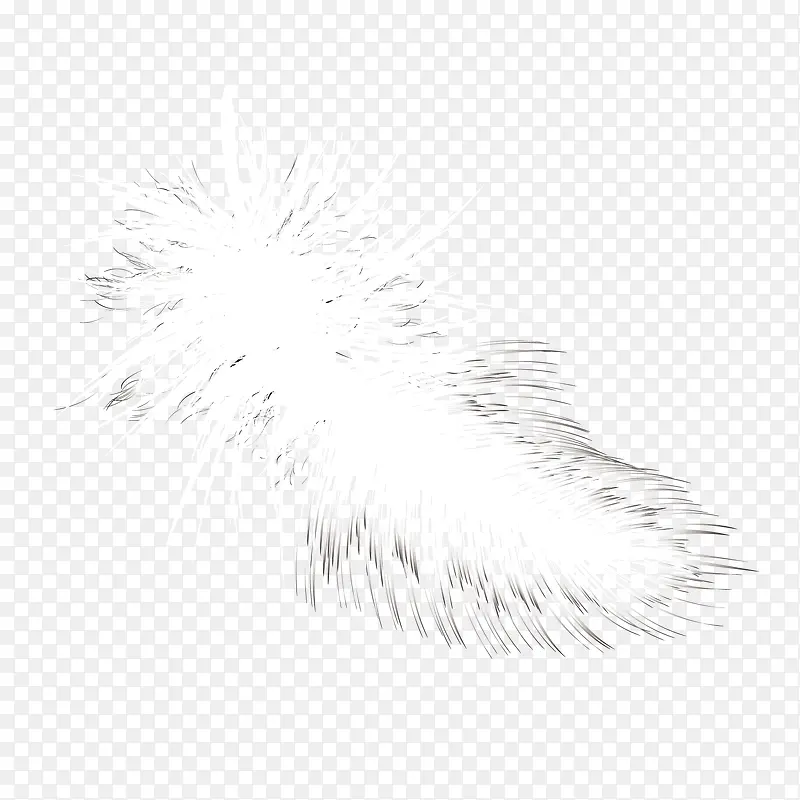 白色写实羽毛