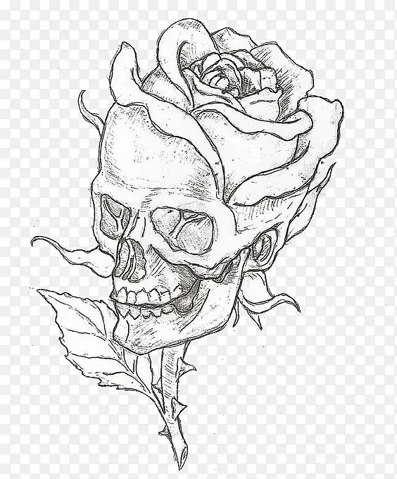 骷髅骨玫瑰花