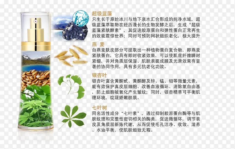 化妆品成分矢量