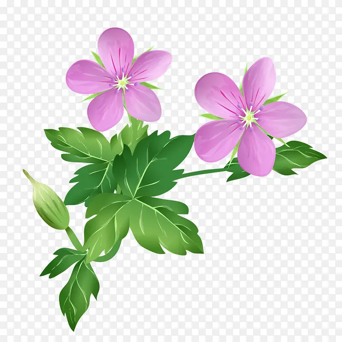 手绘紫色小花