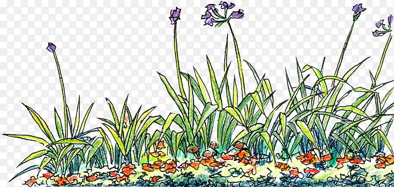 紫色草地植物春天