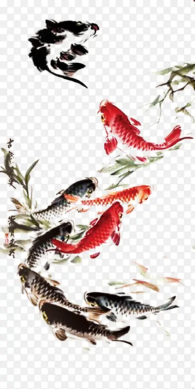 彩绘金鱼鲤鱼中国风