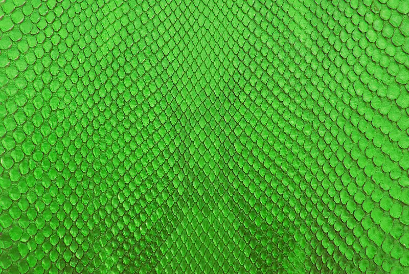 绿色蛇皮背景