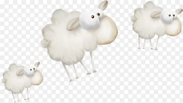 三只小绵羊