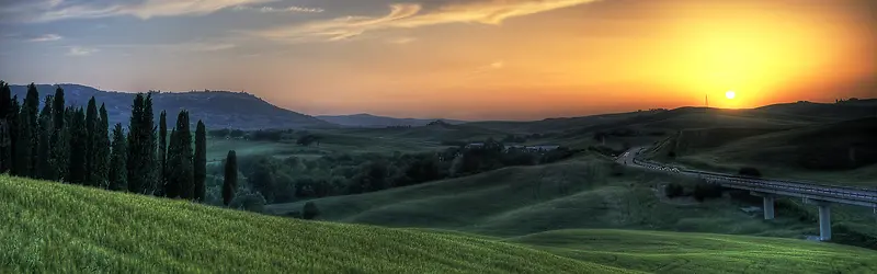 森林夕阳背景图