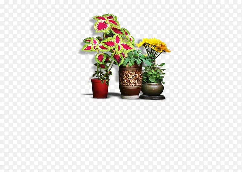 带花瓶的植物，盆栽，花园，文艺