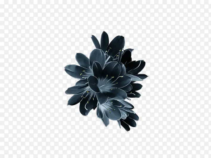 手绘黑色唯美花朵