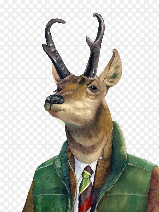 手绘穿着绿色外套的鹿