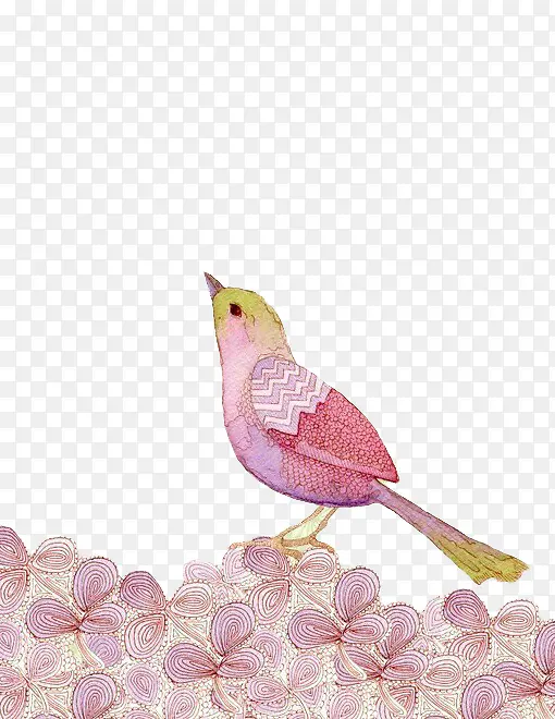 粉色麻雀