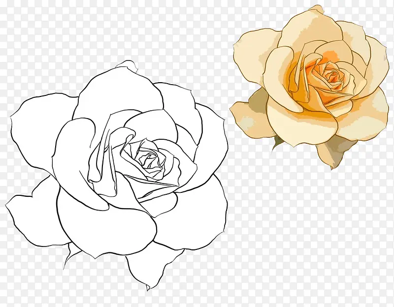 两朵白玫瑰