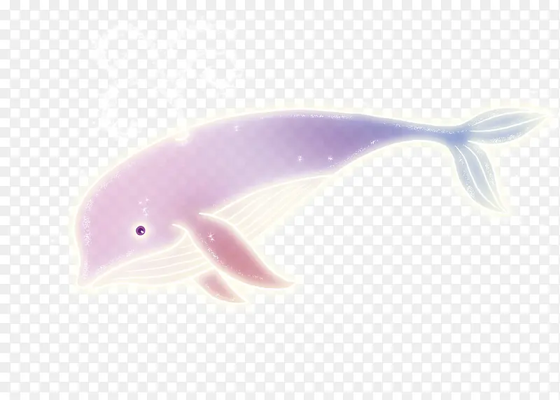 星光海豚