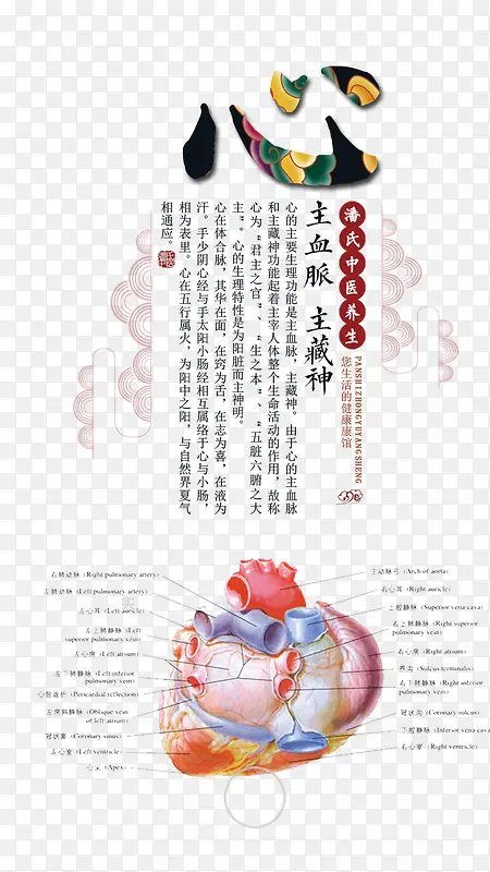 中医养生养心PNG图片素材下载_图片编号9632346-PNG素材网