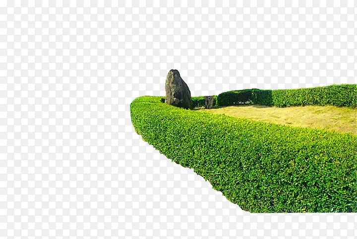 平整的灌木丛海报背景