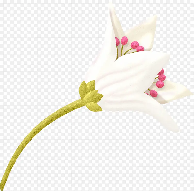 白色花枝