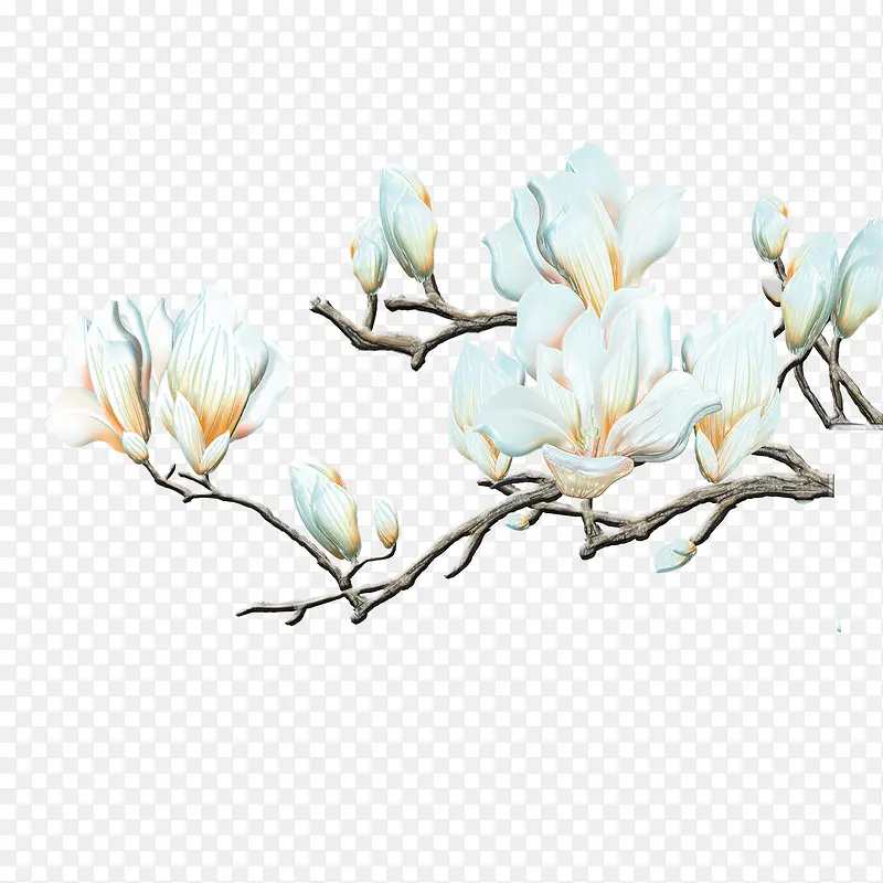 花枝PNG图片素材下载_图片编号9634959-PNG素材网
