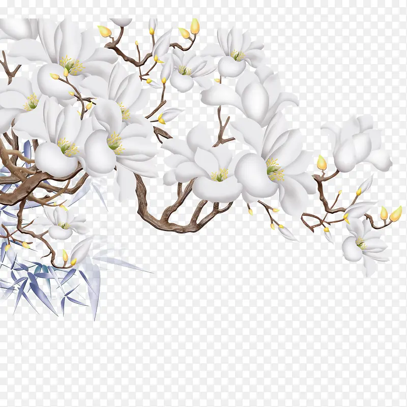 花枝PNG图片素材下载_图片编号9634958-PNG素材网