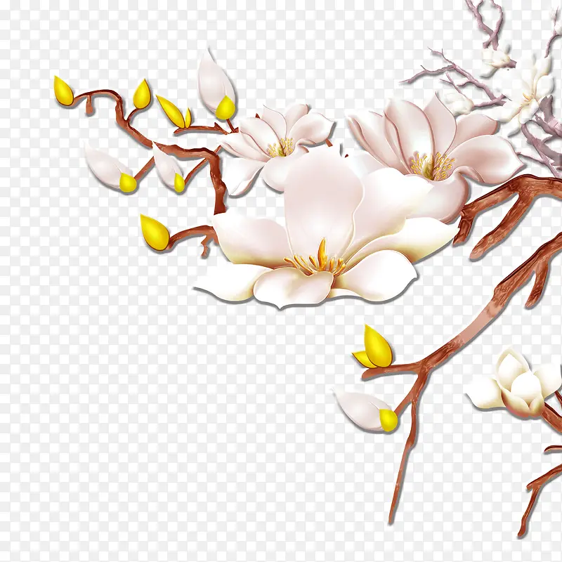 花枝