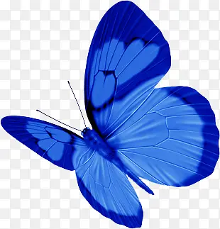 手绘蓝色纹理墙壁装饰蝴蝶