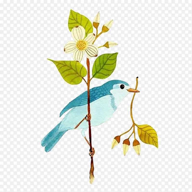 鲜花和小鸟