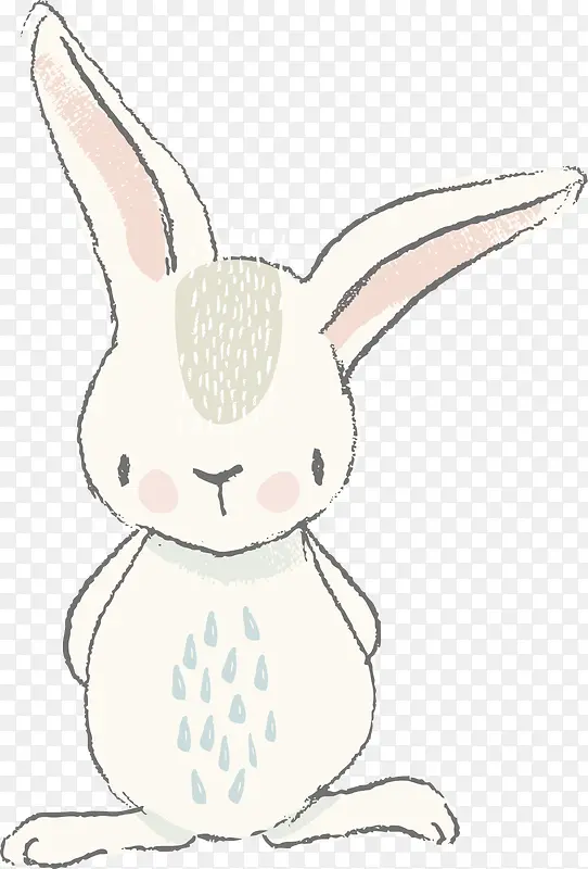 一只非常可爱的兔子