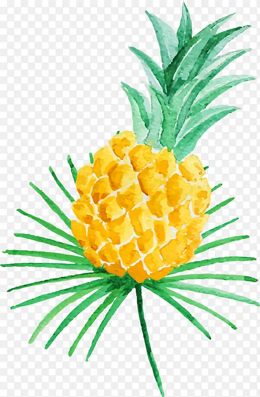 夏季手绘黄色菠萝
