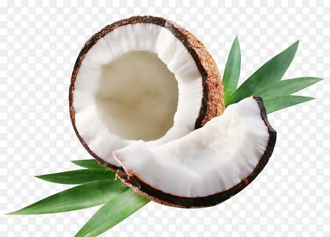 椰子