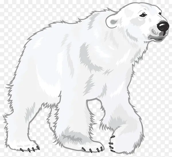 手绘可爱的北极熊