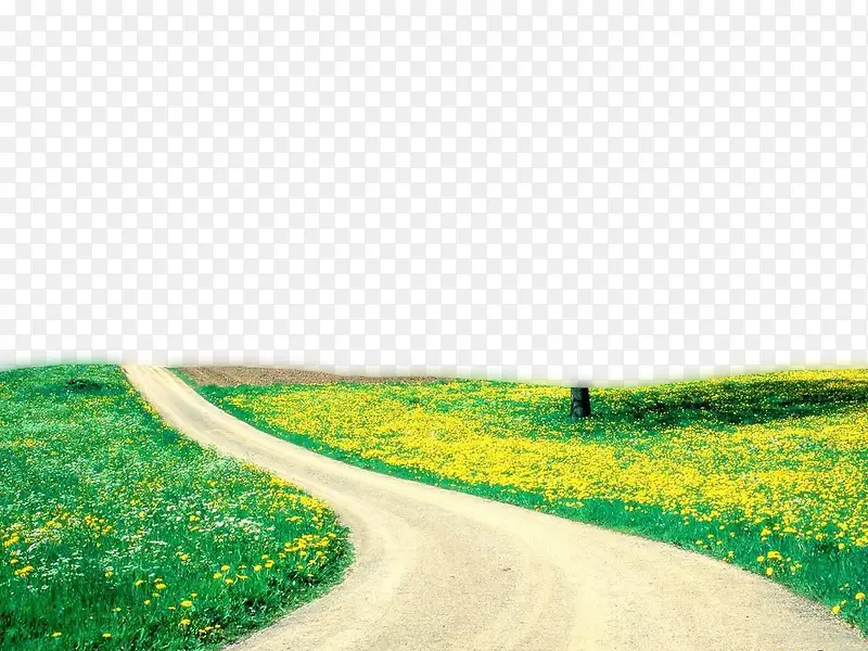 草地 草原 花海