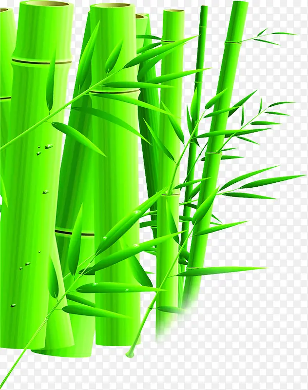 绿色艺术竹子风光