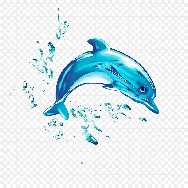 水元素的海豚