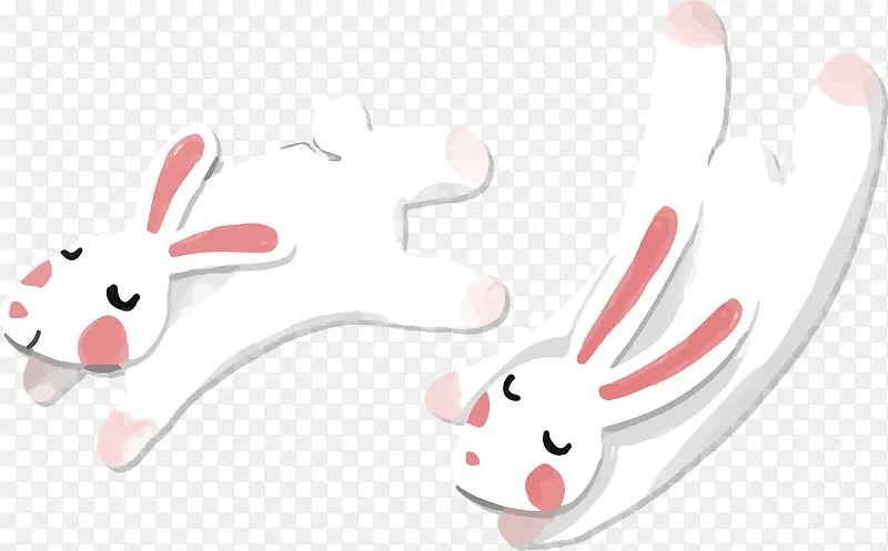 白色的可爱玉兔