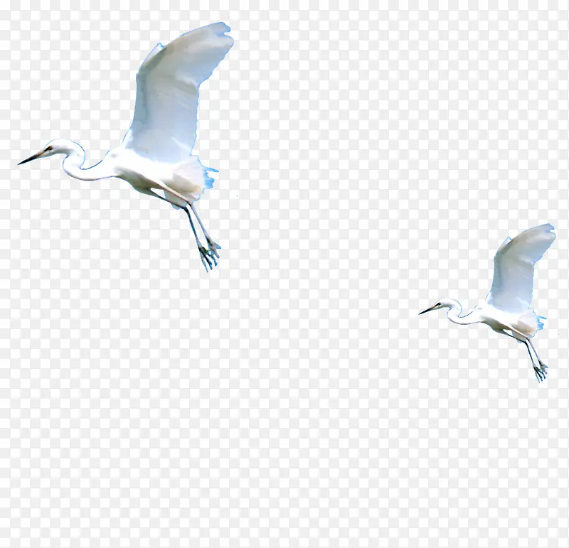 高清创意摄影在空中飞翔的海鸥