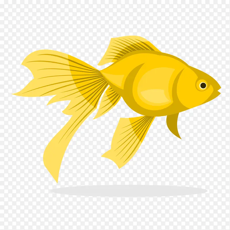 矢量金色鱼