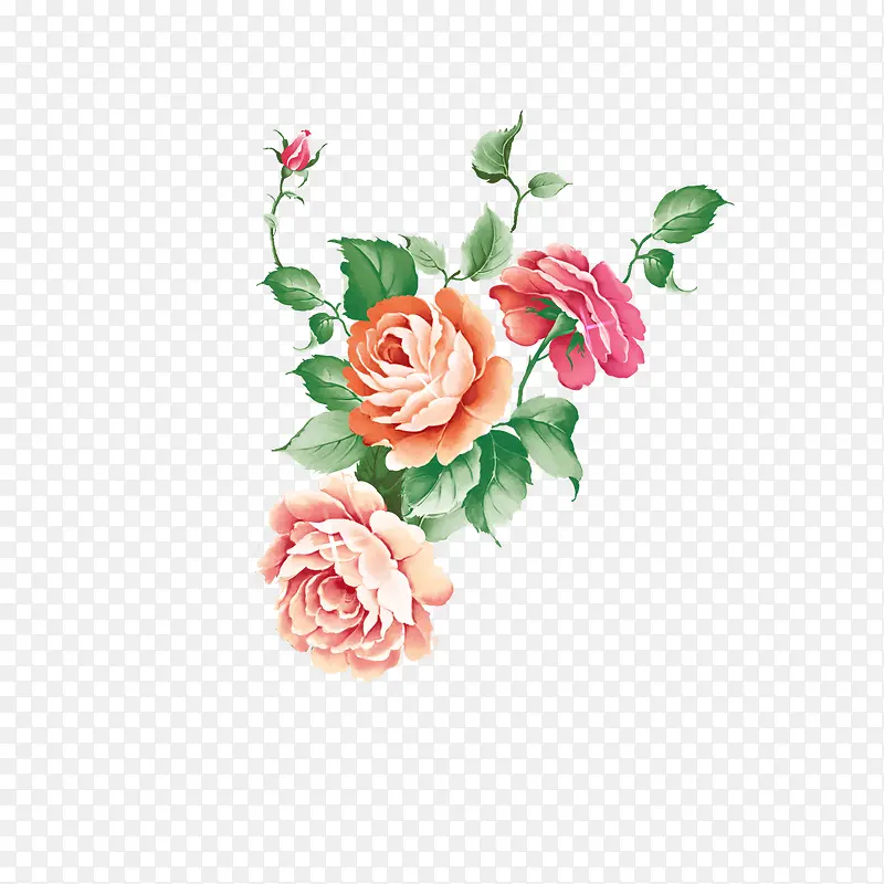 牡丹玫瑰花花朵